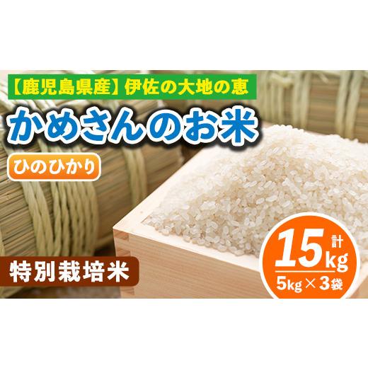 ふるさと納税 鹿児島県 伊佐市 B5-011 ＜1.ひのひかり5kg×3袋＞選べる