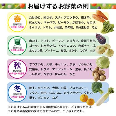 ふるさと納税 泉佐野市 泉州野菜 定期便 15種類以上 詰め合わせ 新鮮 冷蔵 全3回