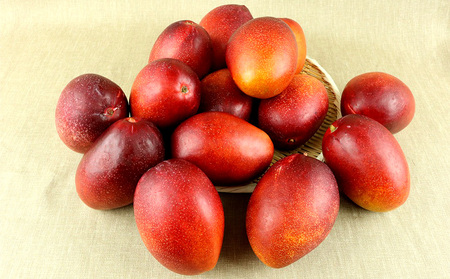 新里農園のアップルマンゴー家庭用（約2kg）
