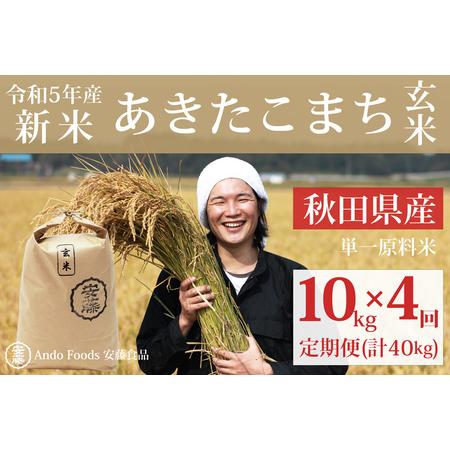 ふるさと納税 《定期便4ヶ月》 あきたこまち 10kg(10kg×1袋)×4回 計40kg  新米 令和5年産（9月下旬より発送予定） 秋田県三種町