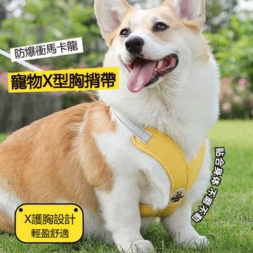 【臺灣現貨】X型雙扣胸背帶 寵物胸背帶 狗狗胸背帶 貓咪胸背帶 防爆衝胸背帶 小中大型犬狗狗胸背帶 背心式背帶+牽引繩