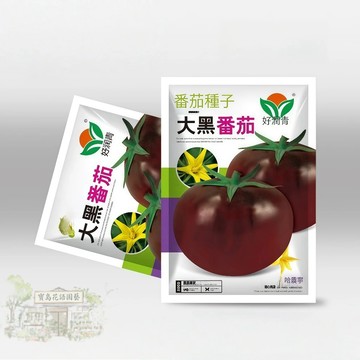 🍅原廠大包裝 大黑番茄種子（約100粒）四季易種水果番茄大黑西紅柿種子 酸甜度高 ~ 蔬菜種子原裝包對版