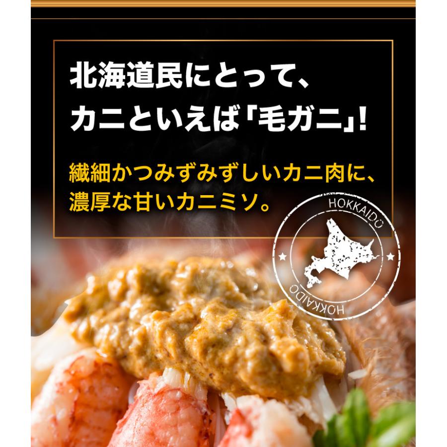 北海道産プレミアム毛蟹 毛ガニ 超特大約1kg（3特・4特）2杯 送料無料 産地直送 Y凍