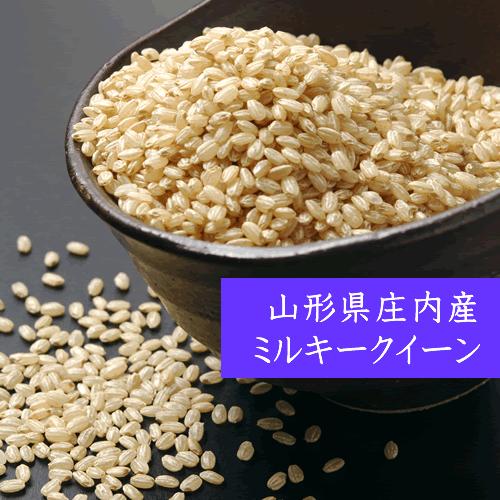 お米 ミルキークイーン 24kg 玄米 山形県庄内産  令和4年産