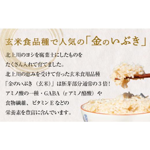 ふるさと納税 宮城県 石巻市 令和5年産 玄米  宮城県産 ヨシ腐葉土米 金のいぶき 5kg