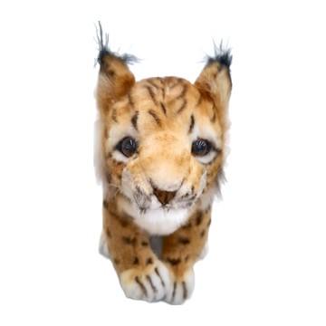 HANSA TOY 絨毛填充玩偶  26cm  西班牙山貓寶寶  1個