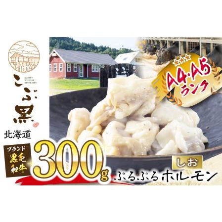 ふるさと納税 北海道産 黒毛和牛 こぶ黒 和牛 しお ホルモン 300g  北海道新ひだか町