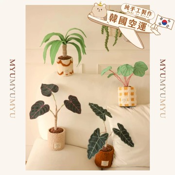 隔日到貨｜韓國布植物 仿真花觀葉盆栽｜免澆水 擬真綠植 居家空間感提升 擬真花 植物｜MYUMYU 沐慕家居 台灣