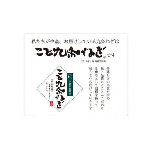 ふるさと納税 京都府 京都市 九条ねぎカット食べ比べセット（厳選）