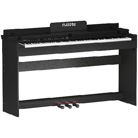 Pipleo Piano Keyboard 88 Keys, Beginner Electric Piano Keyboard With Three Pedals, USB Midi Connecting and Audio Output Black