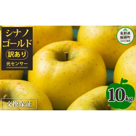 ふるさと納税 りんご 10kg  果物 シナノゴールド 訳あり 長野県 「感謝りんご」 交換保証 不揃い 規格外 傷あり 10キロ.. 長野県飯綱町