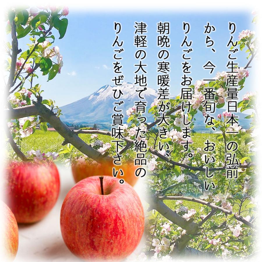 2023年産 青森県産りんご 贈答用 サンふじ10kg （約24玉〜46玉前後）産地直送 お歳暮 ギフト 内のし付き