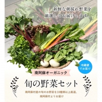 南阿蘇オーガニック 旬の野菜セット10種類以上詰め合わせ《30日以内に順次出荷(土日祝除く)》熊本県 南阿蘇村 野菜 カブ ビーツ サニーレタス クレソン ブロッコリー 水前寺菜 ほうれん草２種 チンゲン菜 春菊 スイスチャード