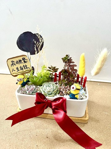 小小兵 貓咪 日式盆栽送禮 多肉組盆 多肉植物 升遷 生日