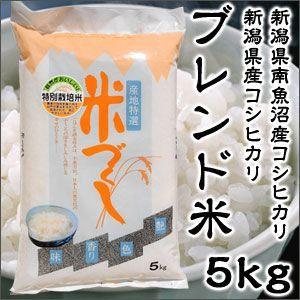 米 日本米 令和4年度産 コシヒカリ 新潟県産 ブレンド米 5kg