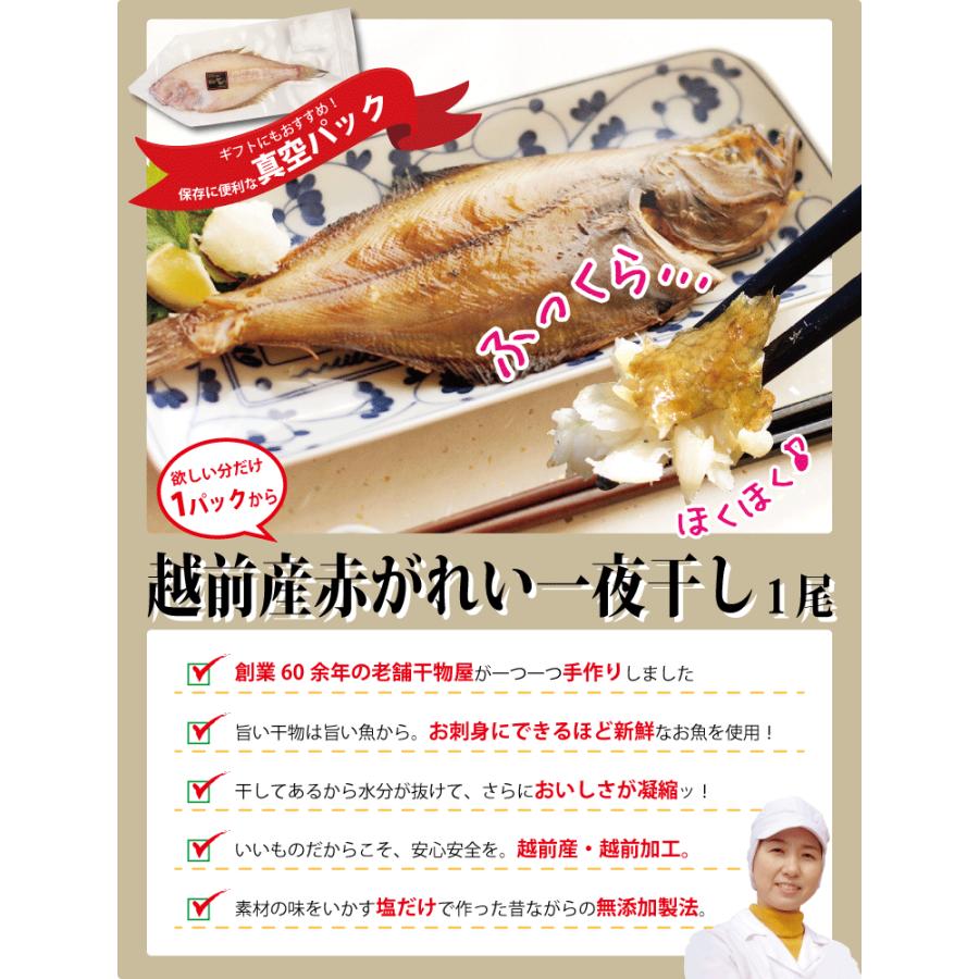 カレイ 干物 1枚×1パック カレイの干物 鰈 干物セット 真空パック 一夜干し 一夜干し魚 一夜干しセット ((冷凍))