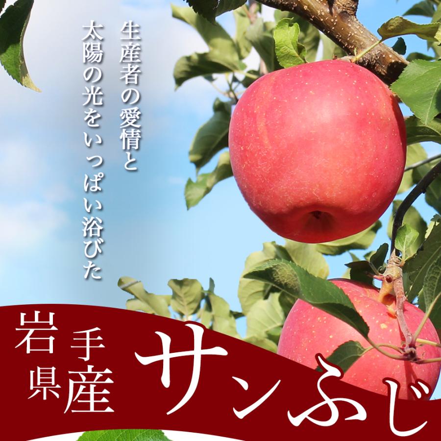 りんご 産地直送 岩手県産 ふじ 3kg 9-11玉入り サンふじ 秀品 贈答 ギフト 農家直送 林檎 リンゴ 果物 無袋栽培 樹上完熟