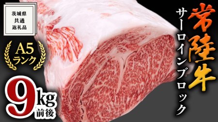 A5サーロインブロック9kg前後 茨城県共通返礼品 肉 国産 焼肉 業務用