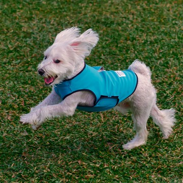 防潑水跑跑衣(青鳥)_PAO4_S-6L,FB  方便快穿 透氣舒適 機能衣