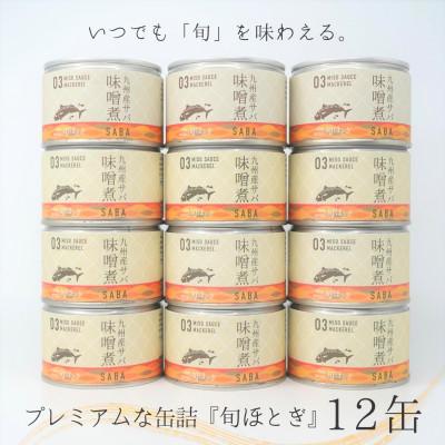 ふるさと納税 松浦市 缶詰工場直送　伝統のさば缶「旬ほとぎ」味噌煮12缶