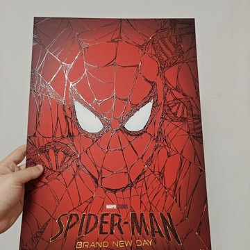 🕸️蜘蛛人海報🕸️蜘蛛人:重生日 主視覺海報 蜘蛛人海報 紀念票卡 電影周邊 漫威經典氛圍感裝飾掛畫
