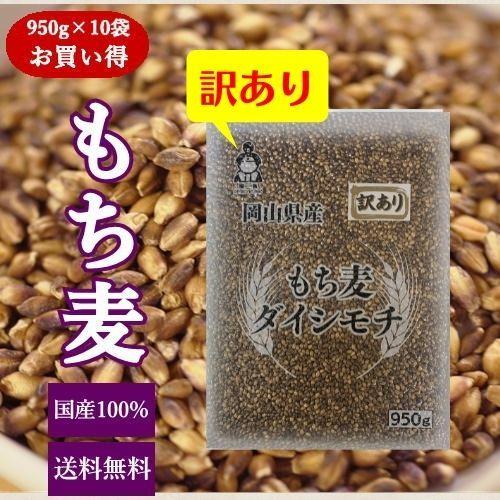 もち麦 ダイシモチ (950g×10袋) 岡山県産 お買い得パック