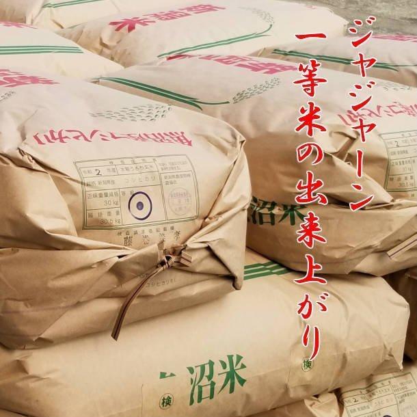 令和5年産 新米 魚沼産コシヒカリ ２合 300g 6袋 うまい米 米 お米 極上 米高級 Aランク 白米 送料無料 新潟産コシヒカリ 贈答用 ギフト ポイント消化