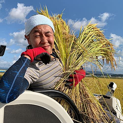 水菜土農園新米 令和5年産 秋田県産 あきたこまち 10kg (5kg×2袋) 古代米お試し袋付き