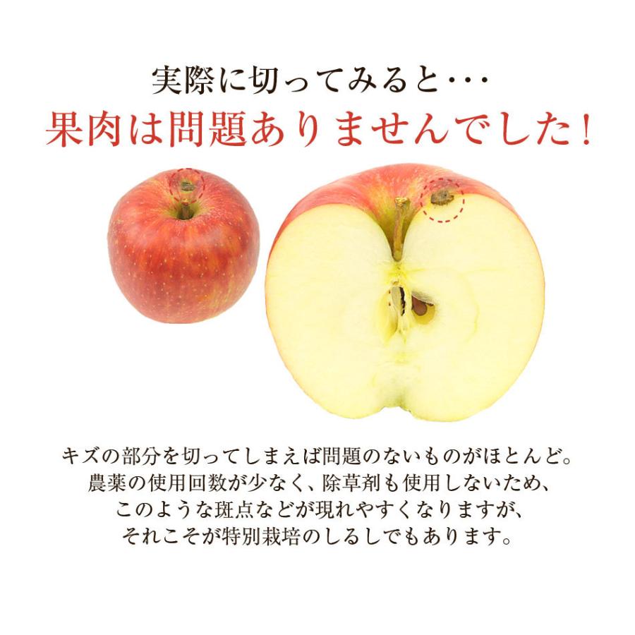 長野県産 りんご 樹上完熟りんご 1kg 特別栽培農産物 減農薬 蜜入り 訳あり ジュース用 ご家庭用 にんじんジュースにも最適