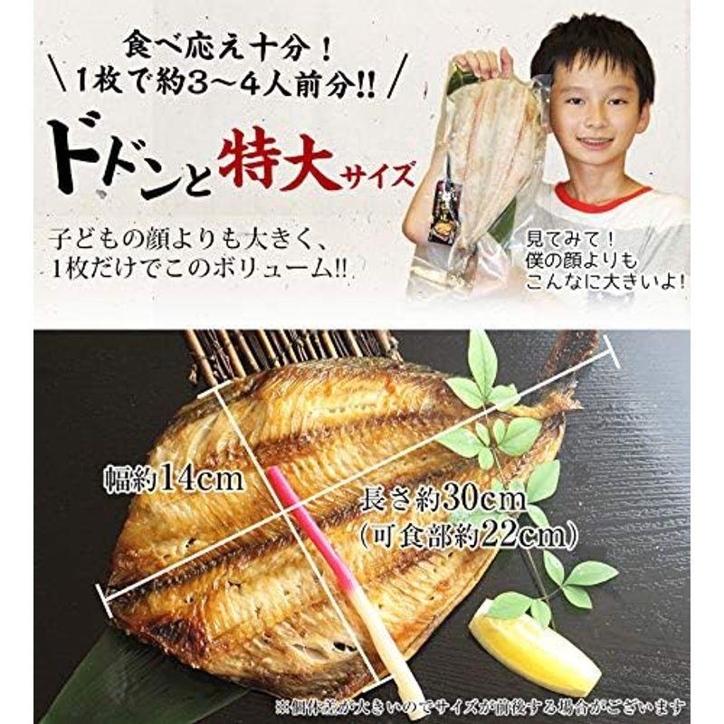 魚耕 干物 魚 1kg以上 特大 縞ほっけ 笹の葉干物 無添加 3枚セット ギフト