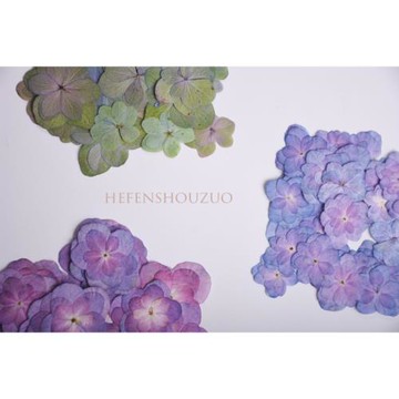 天然原色多瓣繡球干花押花滴膠手機殼diy真花杯墊押花相框填充物