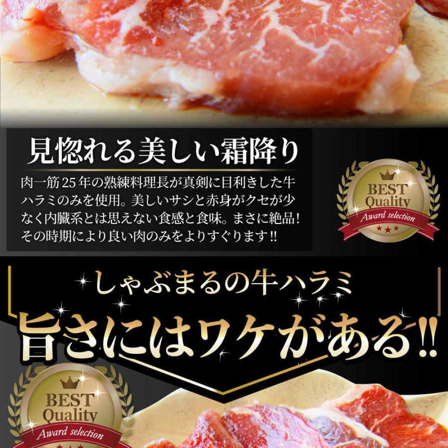 牛ハラミ焼肉 500g（250g×2P）焼肉 赤身 はらみ やきにく ハラミ アウトドア お家焼肉 送料無料 キャンプ キャンプ飯