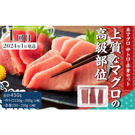 ふるさと納税 長崎県産 本マグロ 贅沢食べ比べセット 計1.6kg＜2024年1月〜3月発送＞【マグロ まぐろ 本マグロ 養殖マグロ 養殖本マグ.. 長崎県