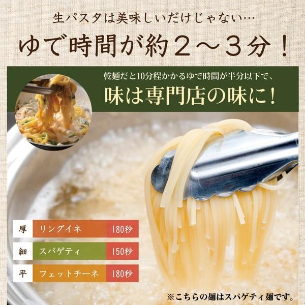 生パスタ フェットチーネ リングイネ スパゲティ 12袋 送料無料（北海道・沖縄・離島 1500円）業務用 ギフト グルメ 食品 大容量 まとめ買い