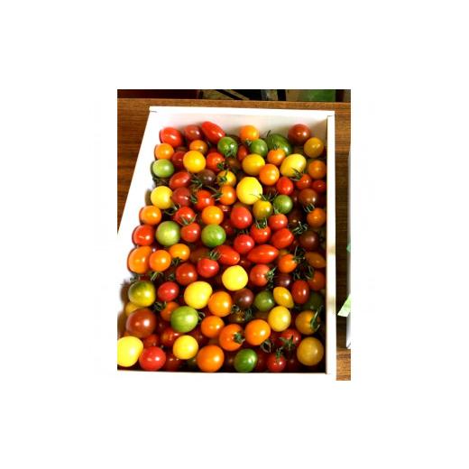 ふるさと納税 高知県 土佐市 カラフルミニトマトの宝石箱 （約2kg） トマト ミニトマト とまと カラフルミニトマト 詰め合わせ 15品種以上 新鮮野菜 カラフル …