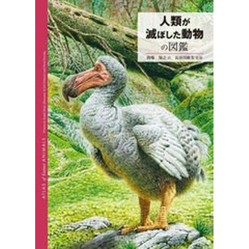 書籍]/人類が滅ぼした動物の図鑑 / 原タイトル:Atlas of Extinct Animals/RadekMaly/〔著〕  JiriGrbavcic/〔イラスト〕 PavelDvorsky/〔 | LINEショッピング