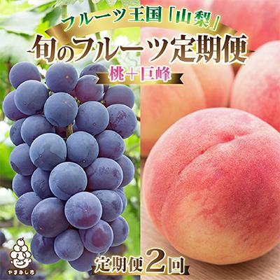 ふるさと納税 山梨市 山梨県産 人気果物2種 桃・種無し巨峰 定期便 全2回