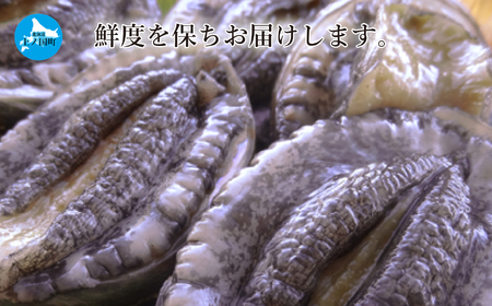 北海道産 海洋牧場育ち養殖活蝦夷あわび　7㎝以上×6個