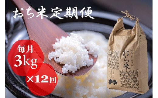 （新米）「おち米」定期便　(3kg × 12回)　産直　白米