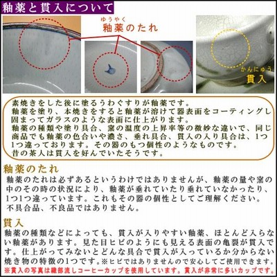 急須土瓶 土瓶 一珍十草 10号 容量1800cc お取寄商品 業務用 和食器