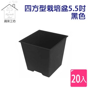 四方型栽培盆5.5吋-黑色(厚)20個/組