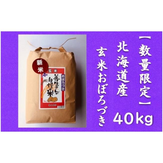 ふるさと納税 北海道 岩見沢市 令和5年産！『100%自家生産玄米』善生さんの自慢の米 玄米おぼろづき４０kg※一括発送