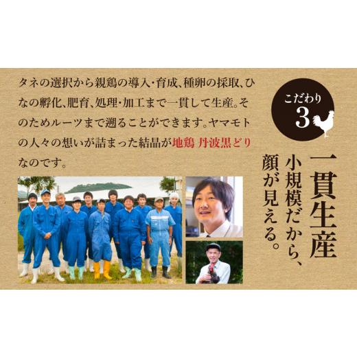 ふるさと納税 兵庫県 加西市 地鶏丹波黒どりと京都府産黒大豆のキーマカリー 6箱 鶏肉 レトルトカレー 6人前 黒豆 常温 キーマカレー ご当地 丹波山本 チキン