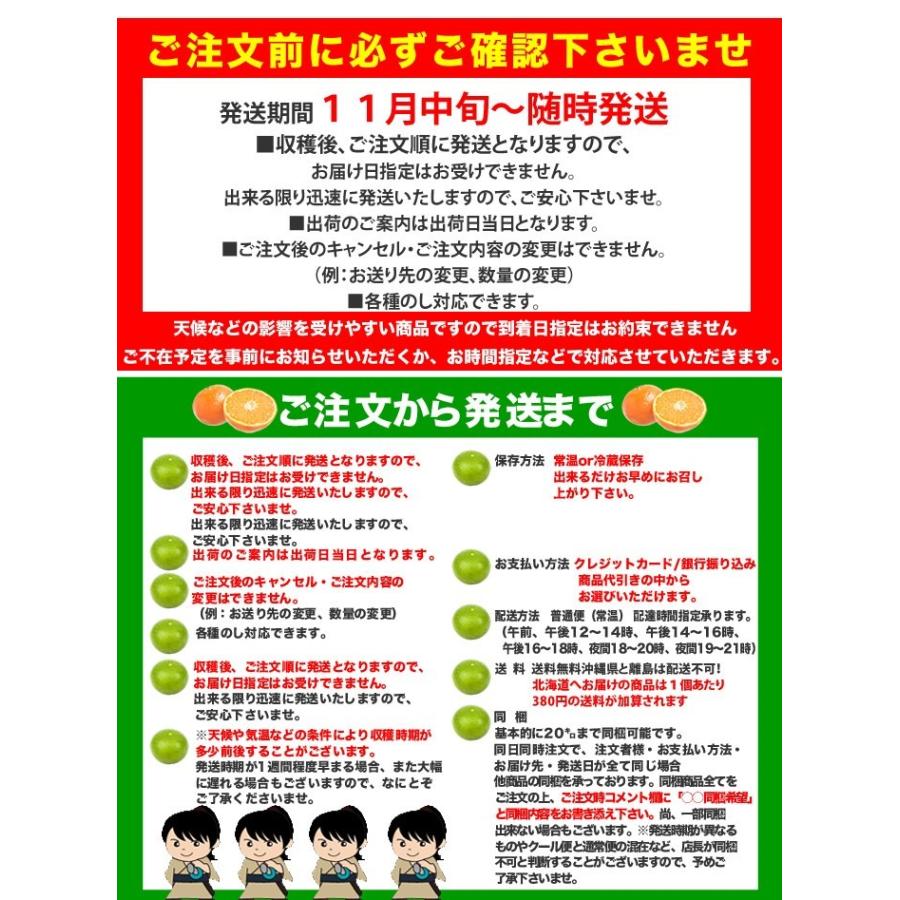 山北みかんMSサイズ限定　10kg　みかん蜜柑　中級品　高知産