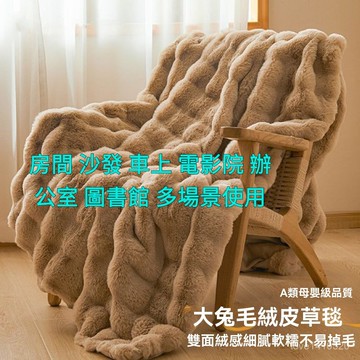 拉捨爾 毛毯 法蘭絨 披肩 毯子 午睡毯  沙發毯 懶人毯 兔絨毛毯被冬季加厚蓋毯牛奶絨床單辦公室午睡沙髮毯子代髮
