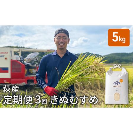 ふるさと納税 定期便 3か月 きぬむすめ 令和5年 5kg  米 コメ こめ 萩産 KAMITAMA 山口県萩市