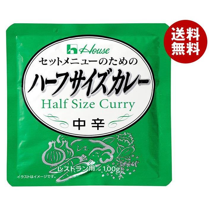 ハウス食品 ハーフサイズカレー 100g×36袋入×(2ケース)｜ 送料無料