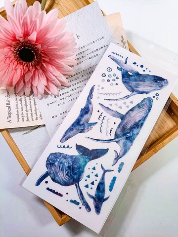 5K038_五口美 _ 鯨魚A_whale A_クジラ A /轉印貼紙