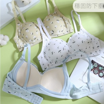 集中內衣 無鋼圈內衣 小胸內衣 專用內衣 舒適內衣 親膚內衣 小碎花內衣 少女內衣 薄款內衣 學生內衣 一片式內衣