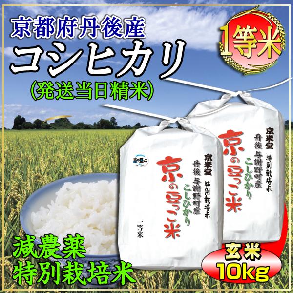 新米 お米 玄米 10kg 当日精米 京都米 丹後産 京の豆っこ米 （5kg×2袋 ...